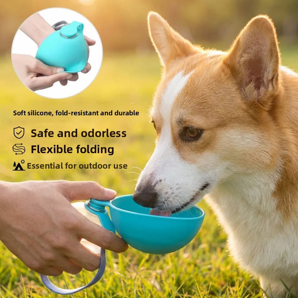 Leak-Proof Pet Water Bottle